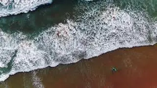 Surfers Paradise Portugal 2019