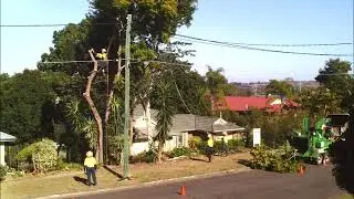 TreeLopping YT