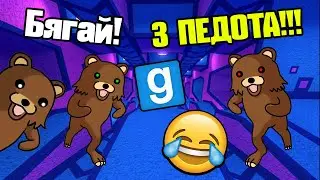 Кой е По-Доброто Педо!?