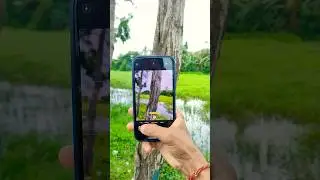 iphone 12 amazing portrait mode photography 📸😍 #photography #iphone #youtubeshorts #camera #trending