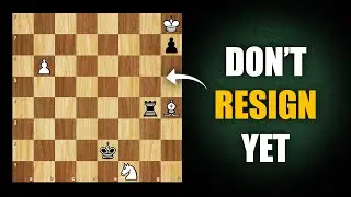 It Looks LOST... But Then White Does the IMPOSSIBLE!