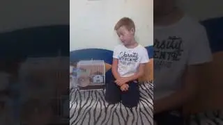 Знакомимся с хомяками! I love hamster!