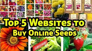 💥💥Top 5 Websites to Buy Online Seeds in India💥🌻🎍🏜🌼🌻💫