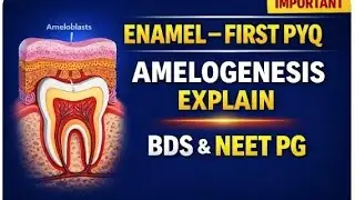 100% Exam me ayga😮 | Most Important PYQ for BDS or NEET PG students | Process of Amelogenesis.
