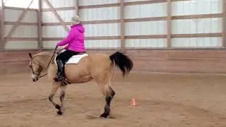 Class 26 - Sr Sr WT Equitation       Becky Schultz   Brenners LiLMagnolia