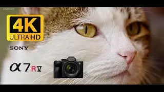 Sony A7R V Stunning 4K Video