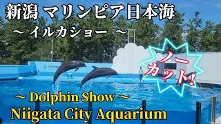【4K/ノーカット】新潟 マリンピア日本海 水族館 イルカショー Niigata City Aquarium Dolphin Show