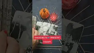 какая весть прилетит к вам?! #таро #ведунья #tarot #онлайгадание #гадание
