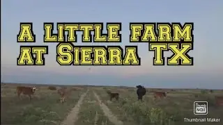 Road trip from Sunrise to Sunset at Sierra TX +may mga Baka #SierraTX