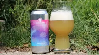 Other Half|Mosaic Dream|6% Hazy Crusher