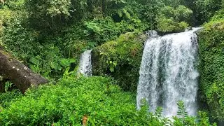 Nature Medicine for Deep Sleep | Feel Safe Tonight with Waterfall Sounds