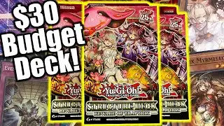 $30 TRAPTRIX BUDGET DECK! Yu-Gi-Oh! Structure Deck Beware of Traptrix x3!