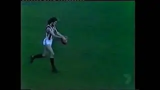 The Collingwood Player Archive: Terry Domburg 1980