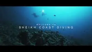 Sheikh Coast Diving Center   Domina Coral Bay HD