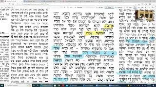 Daf Yomi Made Easy Yevamos Daf 83