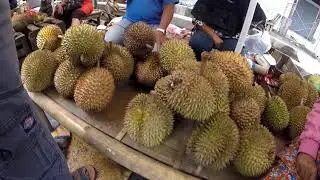 BERBURU DURIAN DI PURWOREJO