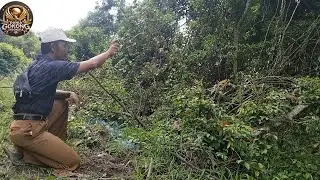 Sejarah di hutan lindungan 4 benda pusaka ber hodam jin episot 1