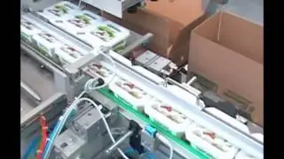 MOSCA - Packaging Specialist - Incartonatrici F30 FOOD GALLERY