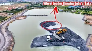 Part 369| Excellent Skills development! more Dump Truck Delivery Rock & Wheel Loader, Dozer Pushing