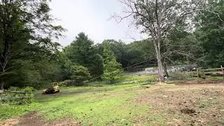 Timber