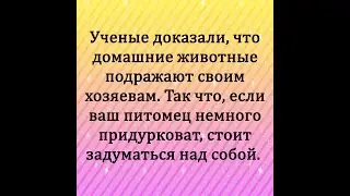 Анекдоты #смех #юмор #funny #jokes