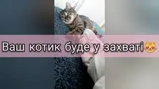 Новинка! Корм Josera Josicat Sterilised Classic