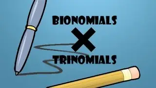 Algebra II - Multiplying Binomials by Trinomials (x^2+3)(x^2-x+4)