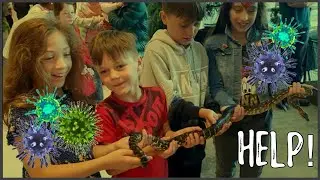 Wicked Wildlife is in trouble!