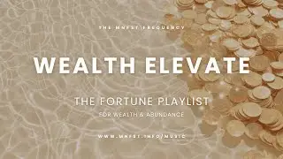 Wealth Elevate | Wealth & Abundance Manifestation Music | THE MNFST FREQUENCY | 8D