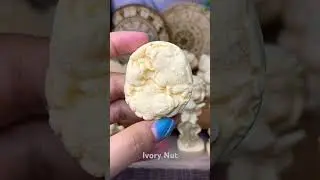 Decrystal.id - Ivory Nut Carving #crystals #carving #ivorynut