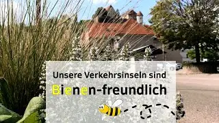 Heidenei! Unsere Verkehrsinseln sind bienenfreundlich 🐝