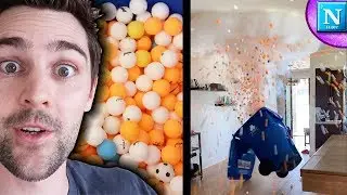 Ping Pong Explosion w/David Dobrik | Nickipedia