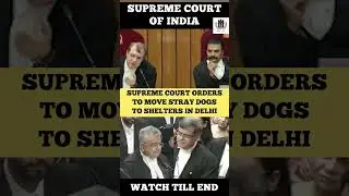Supreme Court orders to Move stray dogs to Shelters  #supremecourtofindia #judge #status #straydogs