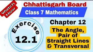 Chhattisgarh Board Class 7 Maths | Chapter 12 | Exercise 12.1 | The angle, pair of straight lines