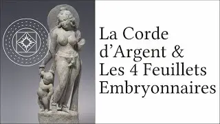 La Corde d'Argent & Les Quatre Feuillets Embryonnaires