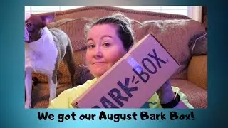 August Bark Box Unboxing | Fairground Hounds