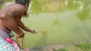 Best big fish||Village fishing with boy net||amazing fishing video hunting by net||#fishing #fish