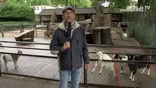 Tierisches Vergnügen im Tierpark Hagenbeck in Hamburg