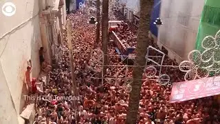 WEB EXTRA: Tomato Festival In Spain
