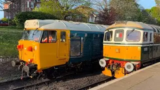 Swanage Diesel Gala 2024 73109 33012 D1015 50021 50026 08436 33111 69002 37219 20302 20311 4TC