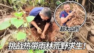 挑战热带雨林荒野求生！全程无装备徒手生存，挖到超大山药，搭建庇护所、钻木取火、捕捉野鱼艰难求生【黑鹰户外】