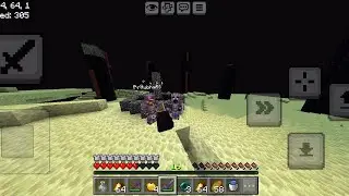Killed Ender Dragon with my bro! #minecraft 