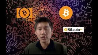 Bitcoin Cash and Bitcoin SV to rise after BTC halving, several theories