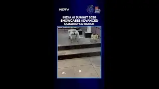 India AI Summit 2026 Showcases Advanced Quadruped Robot