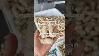 Automatic Soybean Protein Making Machine Soya Nugget Extruder Tvp Textured Soy #soya #soyachunks