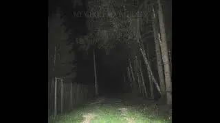 SHORESIDEVALE - MY WHOLE ROOM HURTS MIX