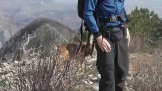 Planinarsko dru&scaron;tvo Ljubav na izletu u  NP Paklenici