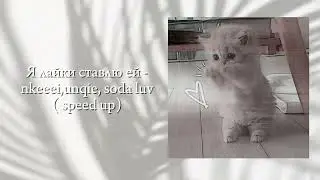 Я лайки ставлю ей ( speed up )