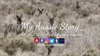 Welcome to 'My Aussie Story' &mdash; Australia, through my eyes