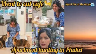 Apartments hunting in Patong,Phuket| went to cat cafe🐈  #phuket #thailand #india #youtube #vlogs